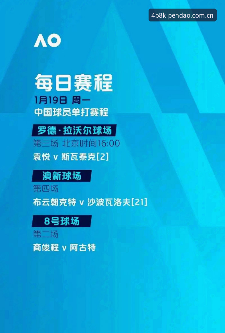 半岛网页登录体验报告：一个资深体育迷的深度评测
