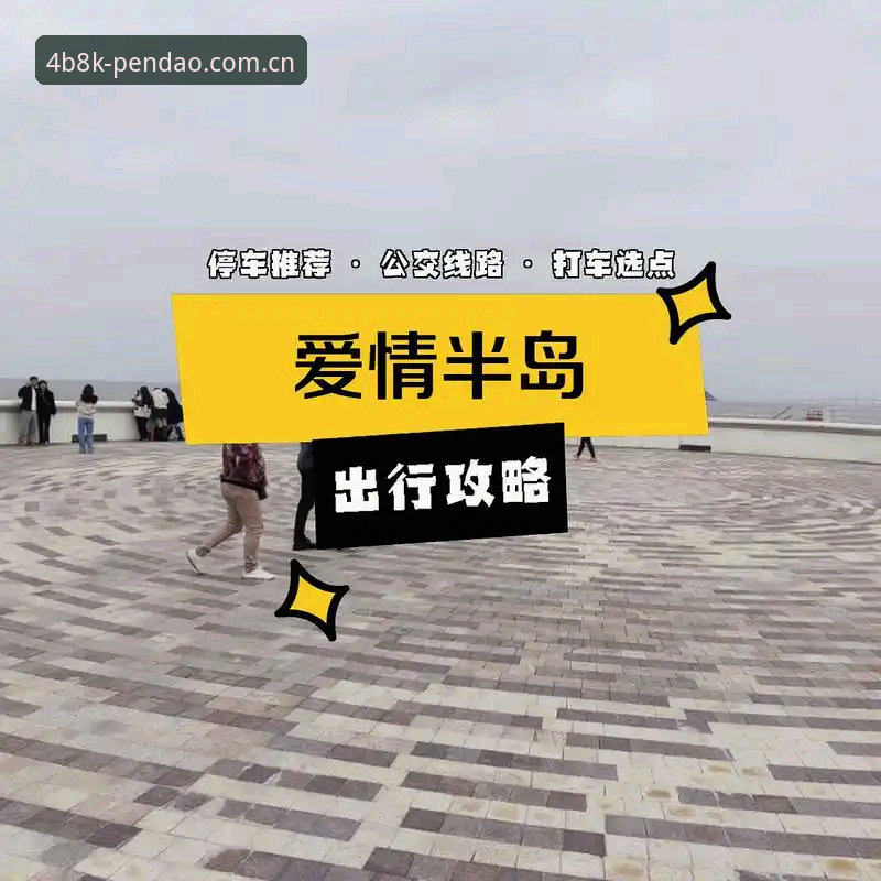 半岛网页登录完整指南：从下载到竞猜的全流程解析