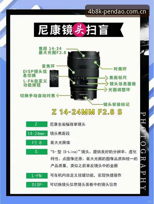 半岛网页登录完整指南：从新手到高手的实用操作手册